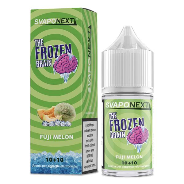 10+10 THE FROZEN BRAIN - FUJI MELON